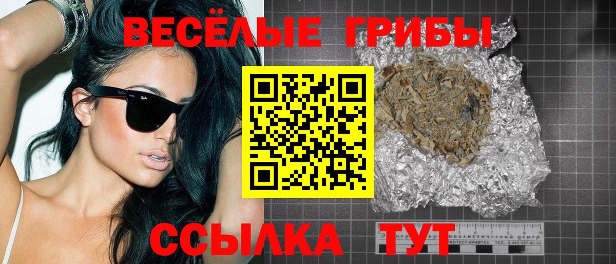 Галлюциногенные грибы прущие грибы Жигулёвск
