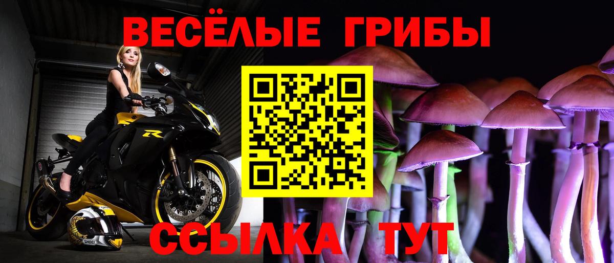 Галлюциногенные грибы ЛСД Жигулёвск